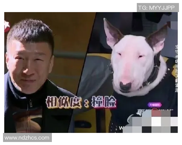 足球明星与新浪撞脸引发热议网友纷纷调侃相似度惊人