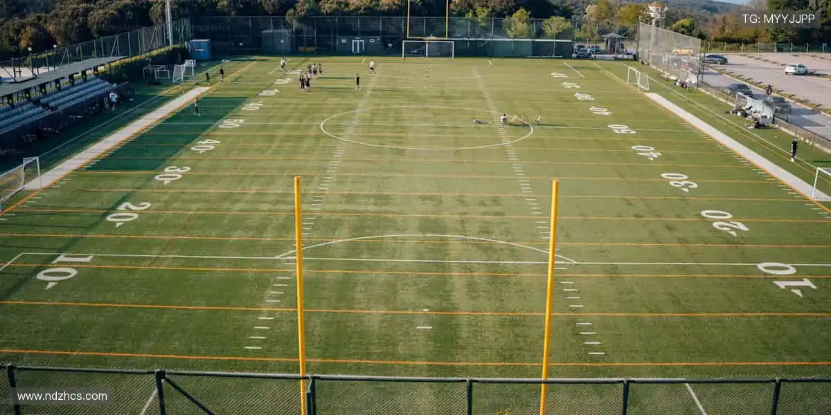 📱 指尖轻点,全球赛事实时掌控!🎥